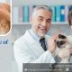 PCD Franchise of Veterinary in Panchkula