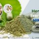 Herbal PCD Franchise in Himachal Pradesh