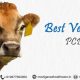 Best Veterinary PCD Franchise in Rajasthan