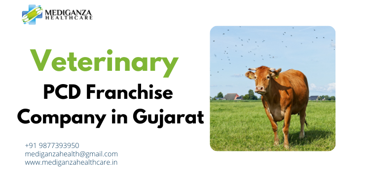 Veterinary PCD Franchise Company in Gujarat