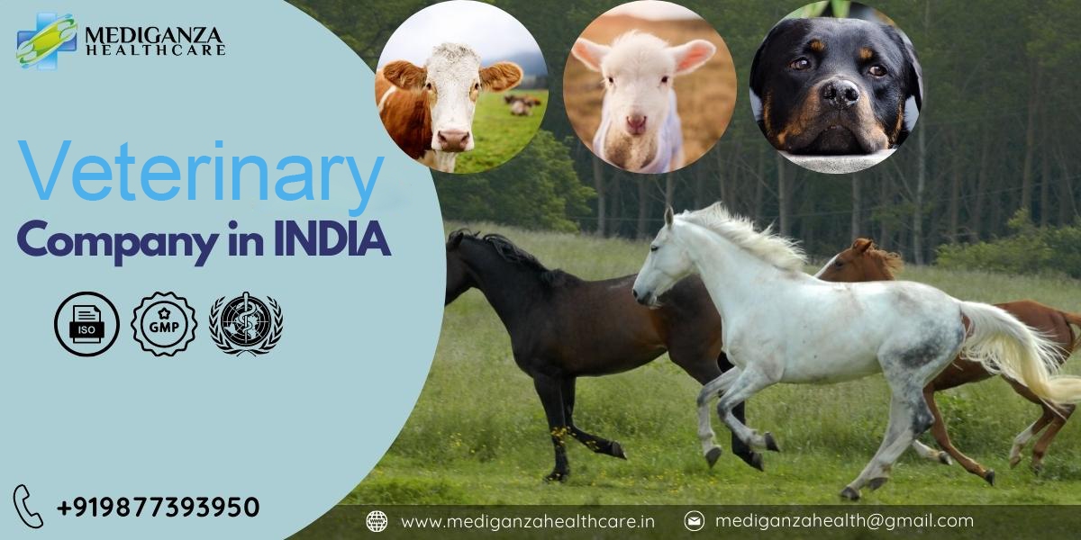 Veterinary Company in India