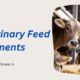 Top 10 Veterinary Feed Supplements