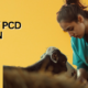 Veterinary PCD Company in India